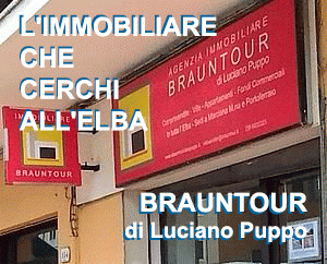 Immobiliare Brauntour